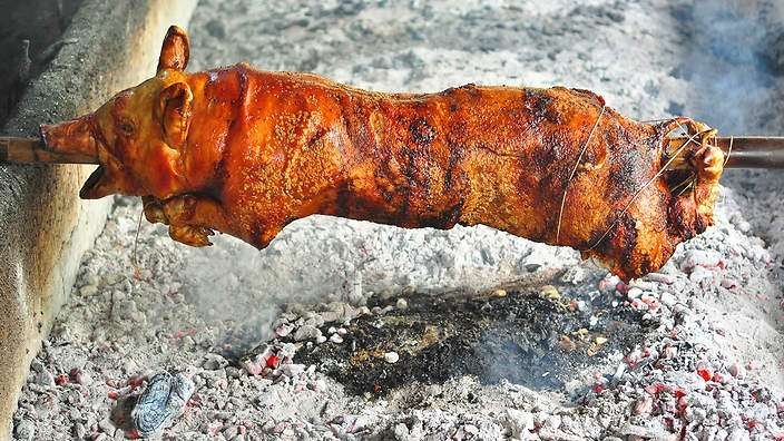 Spit Roasted Pig Served with Apple or BBQ sauce Stuffing & Crispy Crackling Spit Roasted Pig Served with Apple or BBQ sauce Stuffing & Crispy Crackling
