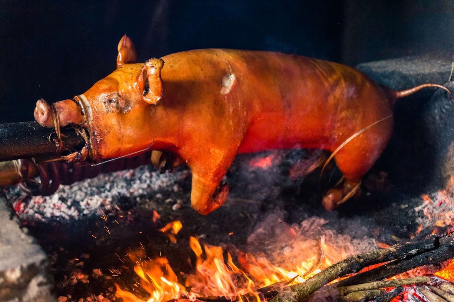 Spit Roasted PigSpit Roasted Pig Spit Roasted Pig